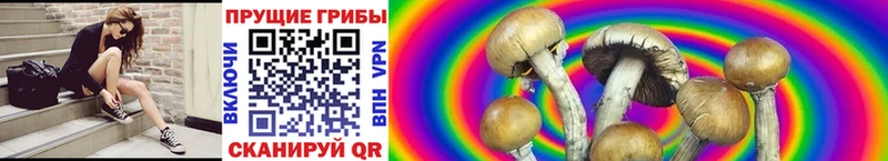Псилоцибиновые грибы MAGIC MUSHROOMS  Дальнегорск 