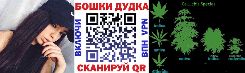 mega ссылки где продают наркотики Дальнегорск Марихуана индика